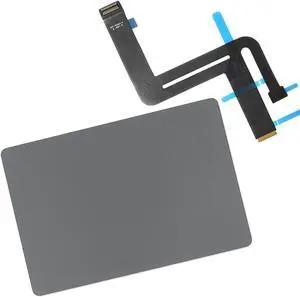 Willhom Replacement Touch Trackpad with Cable for MacBook Air 13 Inch Retina Display A2179 Early 2020 (Space Gray)