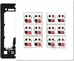 DIYTECH Premium 12 Speaker Wall Plate, Speaker Plug, Supports 12 Speaker Configurations, Speaker Port for Wall Speaker Wire, Speaker Wire in Wall, Wire Wall Plate - 2 Gang Screwless