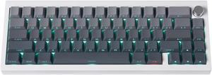 mintcaps PBT Doubleshot Keycaps Gradient Gray Backlit Side Print Cherry Profile Keycaps 133 Keys Shine Through Custom Keycaps Set for 60% 65% 75% 100% Cherry Gateron MX Switches Mechanical Keyboard
