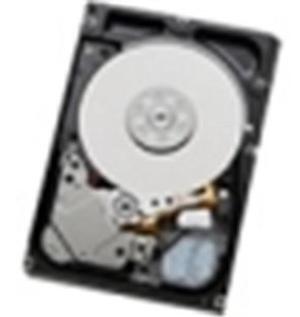 HGST 0B28955 Ultrastar C15K600 HUC156030CSS200 300 GB 2.5 inch Internal Hard Drive - SAS - 15000 rpm - 128 MB Buffer