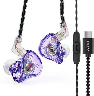 keephifi KBEAR Storm in Ears for Musicians Singers Audiophile Headphone in Ear Monitor Headphone 10mm Strong Magnetic Dynamic Driver Earbuds (Purple, USB C with Mic)