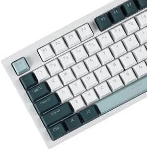 YMDK Double Shot 108 Dyed PBT Shine Through OEM Profile Rainbow Carbon Sunset Keycap for MX Switches Mechanical KeyboardOnly Keycap (Botanical)