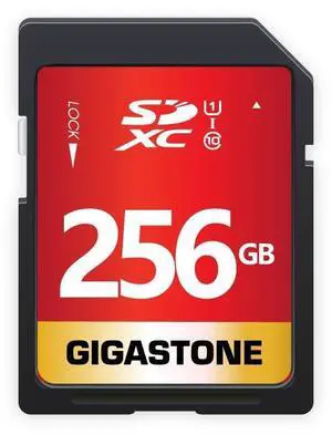 Gigastone 256GB SD Card UHS-I U1 Class 10 SDXC Memory Card High Speed Full HD Video Canon Nikon Sony Pentax Kodak Olympus Panasonic Digital Camera, with 1 Mini case