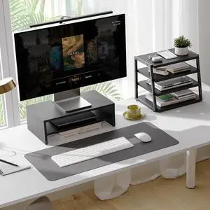 FITUEYES 2 Tiers Monitor Stand & Desktop Desktop File Organizer, Black
