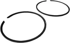 Asaki R290-887-670-STD Fits PWC Jet Ski Sea Doo Piston Ring Kit Standard Size x2 PCS