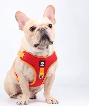 Adjustable Dog Harness No Pull Reflective Medium Large Dog Harness and Leash Set For French Bulldog Greyhound Walking Running