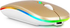 Bluetooth Rechargeable Mouse for Apple MacBook Pro MC976LL/A Laptop Bluetooth Wireless Mouse Designed for Laptop / PC / Mac / iPad pro / Computer / Tablet / RGB LED Gold