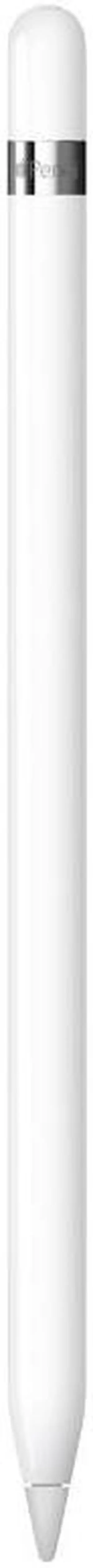 Apple Pen 1 - White