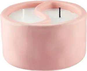 Paddywax Scented Candles Yin-Yang Collection 2-Wick Artisan Candle, 11-Ounce, Cactus Flower + Watermint