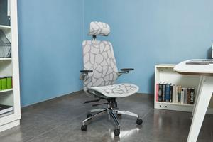 LEBBAGE Ergonomic Office Chair, Computer Desk Chair with