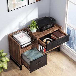 Rustic File Cabinet with 2 Drawers, Lateral Filing Cabinets, Printer Stand with Open Storage Shelves and Letter Size/A4 Size Drawer for Home Office, Black & Brown