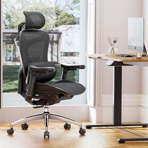 SIHOO Doro-C300 Ergonomic Office Chair-4 Positions Adjustable Backrest, 3 Positions Adjustment Recline, 3D Armrests, Computer Chair with Auto-Adaptive Lumbar Support, 300lb Mesh Office Chair(Black)