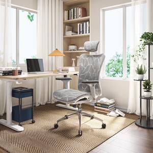 SIHOO High-Back Ergonomic Office Chair, Mesh Desk Chair with Adjustable 3D Armrest, Lumbar Support and Headrest, for Home & Office, Black Light Grey