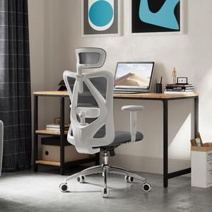 SIHOO High-Back Mesh Office Chair, Ergonomic Chair for Desk, Breathable Mesh Adjustable Headrests for Home Office, light gray