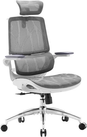 SIHOO M59AS Ergonomic Office Chair, Computer Chair with 3D Flip-up Armrests, Dual Backrest with Dynamic Adaptive Lumbar Support