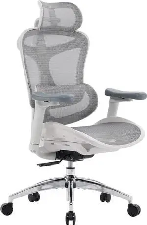 SIHOO Doro C300 Ergonomic Office Chair with Ultra Soft 3D Armrests, Dynamic Lumbar Support for Home Office Chair, Adjustable Backrest Desk Chair, Swivel Big and Tall Office Chair, Computer Chair Gray