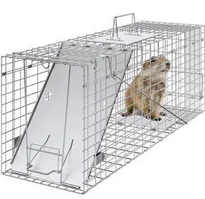 VEVOR Live Animal Cage Trap, 31" x 10" x 12" Humane Cat Trap Galvanized Iron, Folding Animal Trap with Handle for Rabbits, Stray Cats, Squirrels, Raccoons, Groundhogs and Opossums
