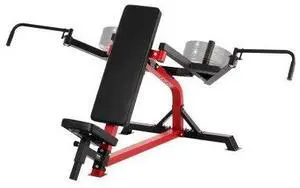 VEVOR Incline Chest Fly and Rear Delt Fly Machine for Upper Body Strength Training