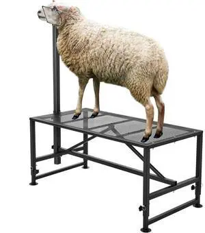 VEVOR Goat & Sheep Stand, 51x23 inch Livestock Stand, Metal Livestock Milking and Shearing Stand 21" to 33" Adjustable Height, with Headpiece and Nose Loop, 500lbs Loading Weight, Black