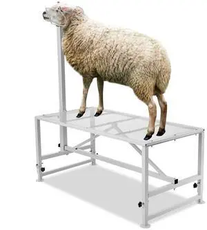 VEVOR Goat & Sheep Stand, 51x23 inch Livestock Stand, Metal Livestock Milking and Shearing Stand 21" to 33" Adjustable Height, with Headpiece and Nose Loop, 500lbs Loading Weight, White