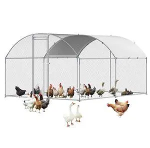 Metal Chicken Coop 9.8x13.1x6.5 ft Walk-in Chicken Run with Cover Doom Roof