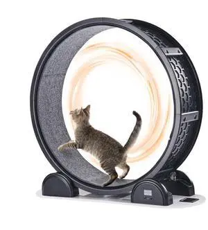VEVOR Cat Exercise Wheel with Pedometer 40.8" Cat Treadmill for Pet Health Black