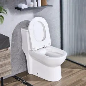 VEVOR One-Piece Toilet, Elongated Toilet Vortex Dual-Flush 1.1/1.6 GPF, Toilets for Bathroom with Comfortable Chair Seat, 12 inch Rough-In, Black + White, Easy-Clean Skirted Design, Standard Height