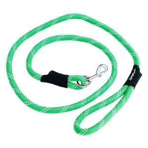 Climbers Dog Leash 6ft Green