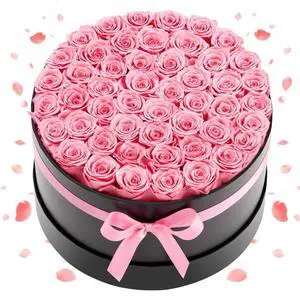 VEVOR Forever Flowers, 50 Preserved Roses in a Box, Eternal Flowers Immortal Bouquet Birthday Present for Delivery Prime Women Her Wife Mothers, Anniversary, Valentine's Day,Christmas, Sweet Pink
