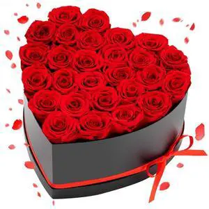 VEVOR Forever Flowers, 27 Preserved Roses in a Heart Shape Box, Eternal Flowers Immortal Bouquet Birthday Present for Delivery Prime Women Her Wife Mothers, Anniversary, Valentine's Day,Christmas, Red