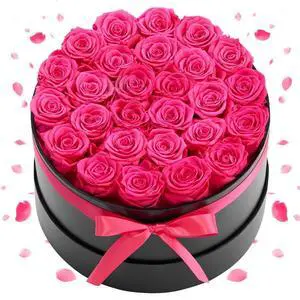 VEVOR Forever Flowers, 27 Preserved Roses in a Box, Eternal Flowers Immortal Bouquet Birthday Present for Delivery Prime Women Her Wife Mothers, Anniversary, Valentine's Day,Christmas, Rose Red