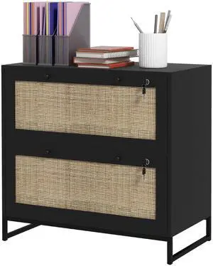 Aosom Lockable Filing Cabinet, Boho 2 Drawer File Cabinet with Adjustable Hanging Bar for Letter, A4 and Legal Size, Black Aosom Lockable Filing Cabinet, Boho 2 Drawer File Cabinet with Adjustable Hanging Bar for Letter, A4 and Legal Size, Black