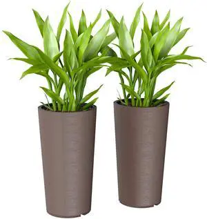 Aosom 29 Inch Outdoor Planter, Set of 2 Plastic Flower Pots, Weather and UV Resistant Stackable Large Planters, Brown Aosom 29 Inch Outdoor Planter, Set of 2 Plastic Flower Pots, Weather and UV Resistant Stackable Large Planters, Brown