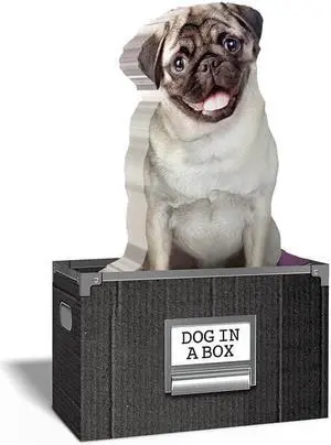 Dog in a Box