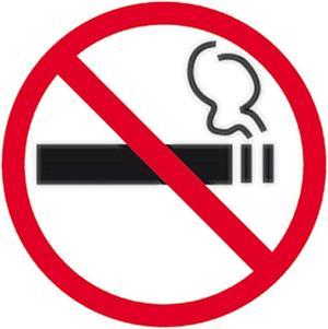 Apli Self-Adhesive No Smoking Sign