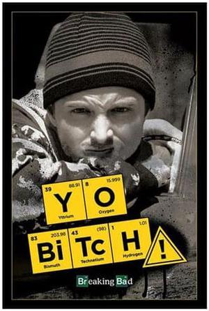 Breaking Bad Poster - Yo B*tch!