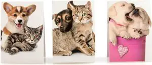 Lil' Note Pals Scented Sticky Note