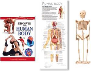 Wonders of Learning Discover Human Body Tin Set