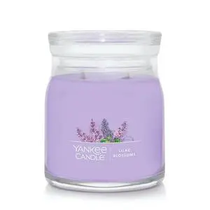 Yankee CandleIced Berry Lemonade Scented Signature 13oz Medium Jar 2-Wick Candle Over 35 Hours of Burn Time Yankee CandleIced Berry Lemonade Scented Signature 13oz Medium Jar 2-Wick Candle Over 35 Hours of Burn Time