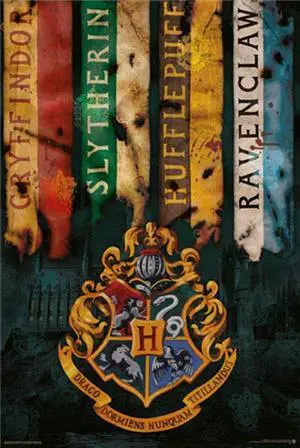 Poster Harry Potter - House Flags Poster Harry Potter - House Flags