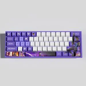 VALORANT Themed Keycaps Astra PBT heat-sublimation keycaps 29 keys OEM high degree