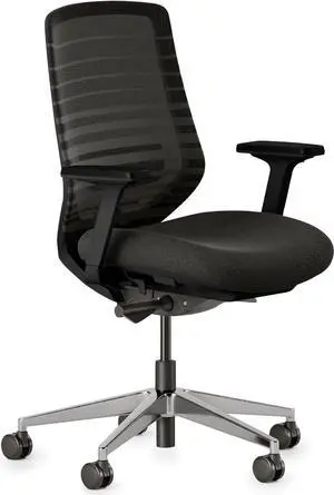 Branch Ergonomic Chair - A Versatile Desk Chair with Adjustable Lumbar Support, Breathable Mesh Backrest, and Smooth Wheels - Experience Optimal Comfort and Support - All Black