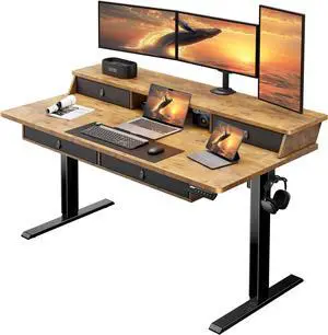ErGear Standing Desk with Drawers, 55 x 30 Inches Height Adjustable Desk with Storage, Electric Sit Stand Desk, 4 Memory Preset Computer Home Office Desk with Cable Management Tray, Vintage Brown