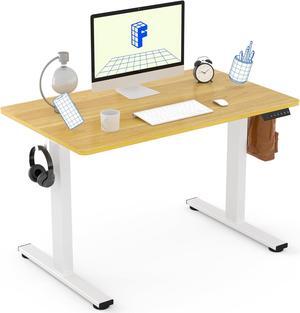 FLEXISPOT EN1 One-Piece Standing Desk 40 x 24 Inches Height Adjustable Desk Electric Sit Stand Up Desk Home Office Desks Computer Workstation (White Frame + Maple Desktop)