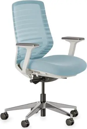 Branch Ergonomic Chair - A Versatile Desk Chair with Adjustable Lumbar Support, Breathable Mesh Backrest, and Smooth Wheels - Experience Optimal Comfort and Support - Light Blue