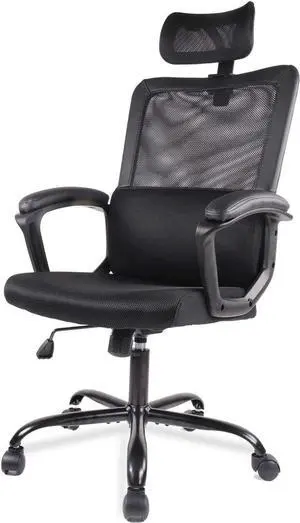 Office Chair, Ergonomic Mesh Home Office Computer Chair with Lumbar Support/Adjustable Headrest/Armrest and Wheels/Mesh High Back/Swivel Rolling (Black)