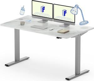 FLEXISPOT EC1 Essential Adjustable Desk, Electric Standing Desk Sit Stand Desk (55x28, Gray Frame+Marble Grey)
