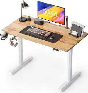 BANTI 44"x24" Standing Desk, Electric Stand up Height Adjustable Home Office Table, Sit Stand Desk, Light Rustic Brown Top