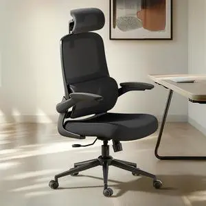 Hbada P1 Ergonomic Office Chair, High Back Desk Chair with 40° Adaptive Lumbar Support, Flip-Up Armrest, Home Office Desk Chair with 2D Headrest, Swivel Computer Task Chair, Black
