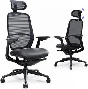 Ergonomic Office Chair,Adjustable Headrest, Lumbar Support, High Back Mesh Desk Chair, Reclining Computer Chair for Home Office